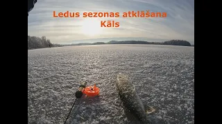 Sezonas atklāšana - Kāls