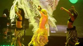 Shakira - Waka Waka - The Sun Comes Out world Tour - Live Amnéville - 5/12/2010