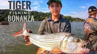 Tiger Fishing Bonanza! (We Caught so Many)