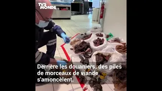 Roissy : les douanes débordées par l'afflux de viande de brousse