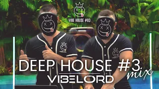 Avicii, Calvin Harris, Kygo, Alok, Chainsmokers- Summer Vibes Deep House Mix #3 | VibeLord