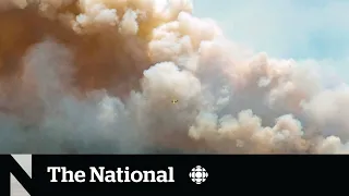 Nova Scotia increases fine for breaking burn ban to $25,000