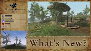 Skywind Preview: What's New? (Live at Creation Mod Con 2022)