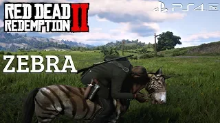 Red Dead Redemption 2 - Capturing & Riding A ZEBRA (RDR2) PS4 Pro