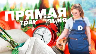 ПРЯМАЯ ТРАНСЛЯЦИЯ. 01.06.22 отвечаем на вопросы