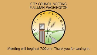 2020-07-28 City Council Meeting - RingCentral Live Broadcast