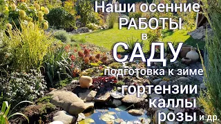 Гортензии, каллы , розы , травы -  наш осенний уход .Прогулка - обзор  САДА . ОКТЯБРЬ.