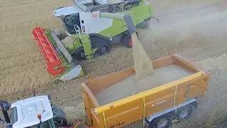 HARVEST 2018! The COMBINE IS ROLLING!