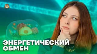 Энергетический обмен | Биология ЕГЭ для 10 класса | Умскул