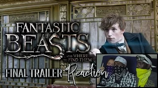 Fantastic Beasts and Where to Find Them (Final Trailer) Reaction