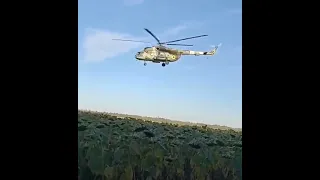 UAF still flies! Low-flying Ukraine Mi-8 helicopters skim Ukraine’s sunflowers 🌻