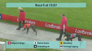 Crayford Greyhounds Races on 5th April 2024