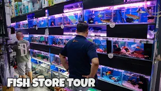 SINGAPORE FISH STORE TOUR!! 181 Aquarium