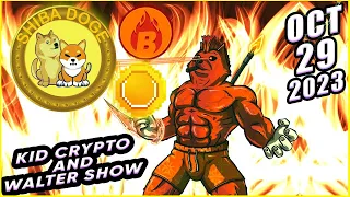 ShibaDoge Burn Gold Tokens On The K1d&Walt Show Meme coin On Ethereum Cryptocurrency News On DeFi