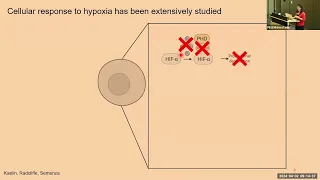 Stressed-Out Cells: The Case of Hypoxia