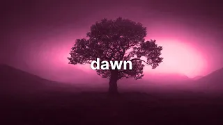 Dawn // Dreamy Ambient Music - 1 HOUR