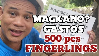 MAGKANO GASTOS SA PAKAIN