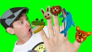 Finger Family Song - Wild Animals with Matt | Action Song, Nursery Rhyme | Learn English Kids