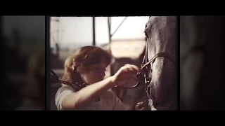 Федерация конного спорта Пермского края