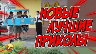 😂Я РЖАЛ ДО СЛЕЗ | ПРИКОЛЫ ЗА ДЕКАБРЬ | FUNNY MOMENTS 2023 | 13 МИНУТ СМЕХА! | #360