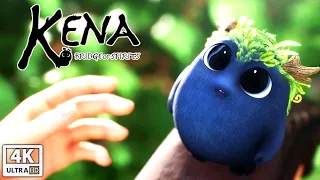 Kena: Bridge Of Spirits Cute Little Guy Scenes (The Rot) 4K 60FPS