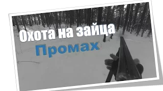 Охота на зайца.Промах