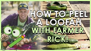 How to Peel a Loofah with Farmer Rick