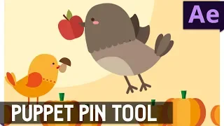 Tutorial 19: Puppet Pin Tool in After Effect ✔