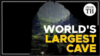 Inside the world's largest cave