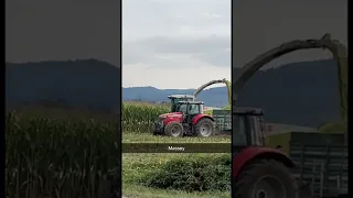 Massey Ferguson Silage in Slovenia #senicadoo #shorts #youtubeshorts #masseyferguson #farming