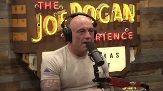 Joe Rogan - You are the reason they build prisons - with Sean Strickland