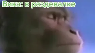 обезьяна слушает песню Влада А4 глент Кобяков