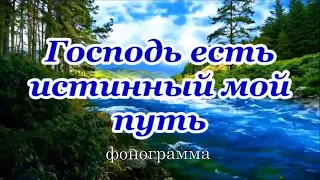 Господь есть истинный мой путь / фонограмма