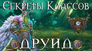 Что скрыто в скиллах Друида//Отсылки из Hearthstone, Нубкин, Категории кошек