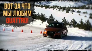 Вот За Что Мы любим Quattro Зимой! Легендарная Проходимость Audi Quattro