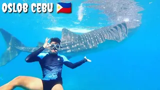 Oslob Whale shark ft. | Boy Tapang