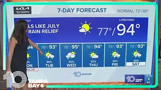 Tampa Bay area late forecast: May 25, 2024 | 10 Weather