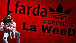 @LFERDATV123  - LA WEED #REACTION  (CLIP OFFICIEL) [ALBUM CAGOULÉ] Prod @Ali Moriva