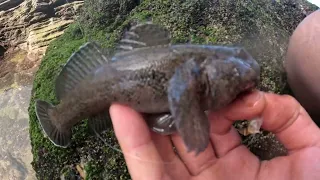 un an plus tard, je reviens chercher les plus gros poissons de ce trou