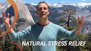 Qigong Shaking for Stress Relief Lee Holden Qi Gong in Relaxing Yosemite Valley