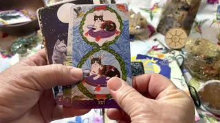 Tarot of Pagan Cats Cards by Lo Scarabeo Card Deck Flip Through #tarot #tarotcards