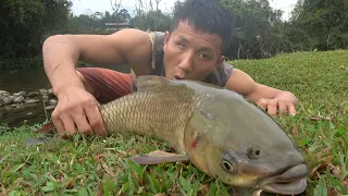 Catching big fish in the wild, catching fish by hand brings an interesting experience