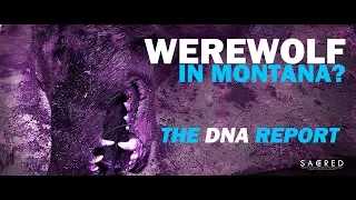 Montana Werewolf / Dogman Creature - The DNA Report