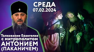 Толкование Евангелия с митр. Антонием (Паканичем). Среда, 7 февраля 2024 года.