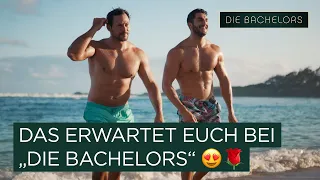 Die ROSENREISE beginnt & das erwartet euch 🌹 I Die Bachelors