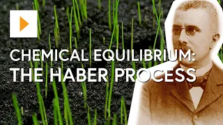 Chemical Equilibrium: The Haber Process