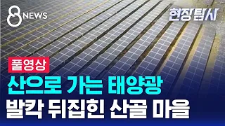 산으로 가는 태양광…발칵 뒤집힌 산골 마을 (풀영상) / SBS 8뉴스 / 현장탐사