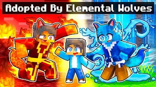 Adopted by ELEMENTAL WOLVES in Minecraft!