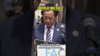 World Bee Day celebration