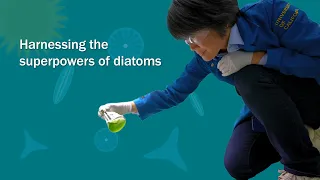Basics2Breakthroughs: Harnessing the superpowers of diatoms